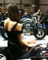 EICMA200901.jpg